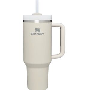 Halloween pumpkin bundle Stanley cute and 2 led small pumpkin bundle